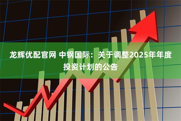 龙辉优配官网 中钢国际：关于调整2025年年度投资计划的公告