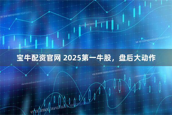 宝牛配资官网 2025第一牛股，盘后大动作