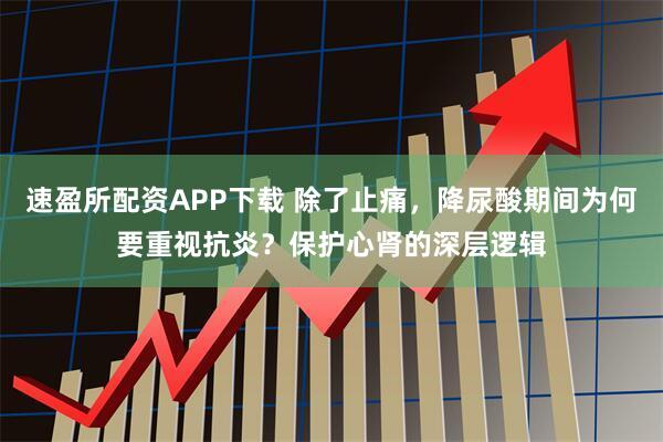 速盈所配资APP下载 除了止痛，降尿酸期间为何要重视抗炎？保护心肾的深层逻辑