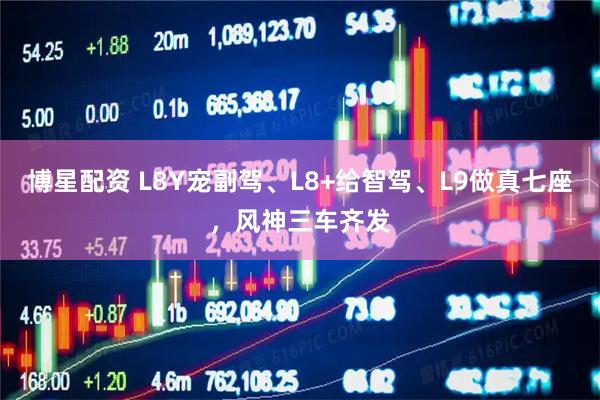 博星配资 L8Y宠副驾、L8+给智驾、L9做真七座,风神三车齐发